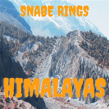 Himalayas from Snabe Rigns