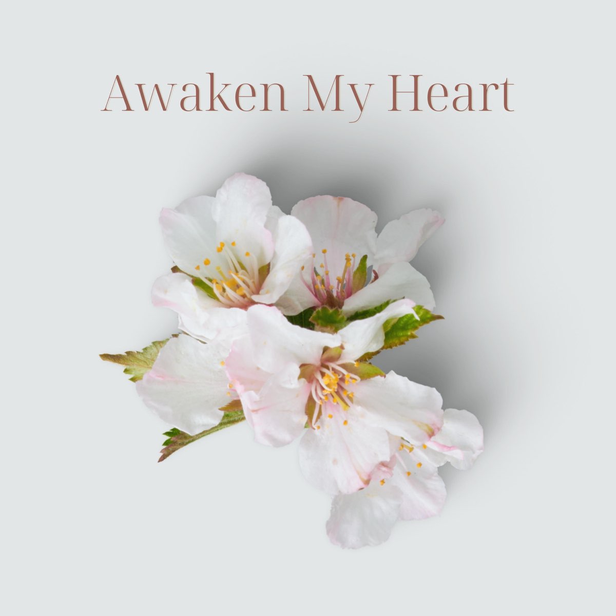 Awaken My Heart by Ryan Goeken