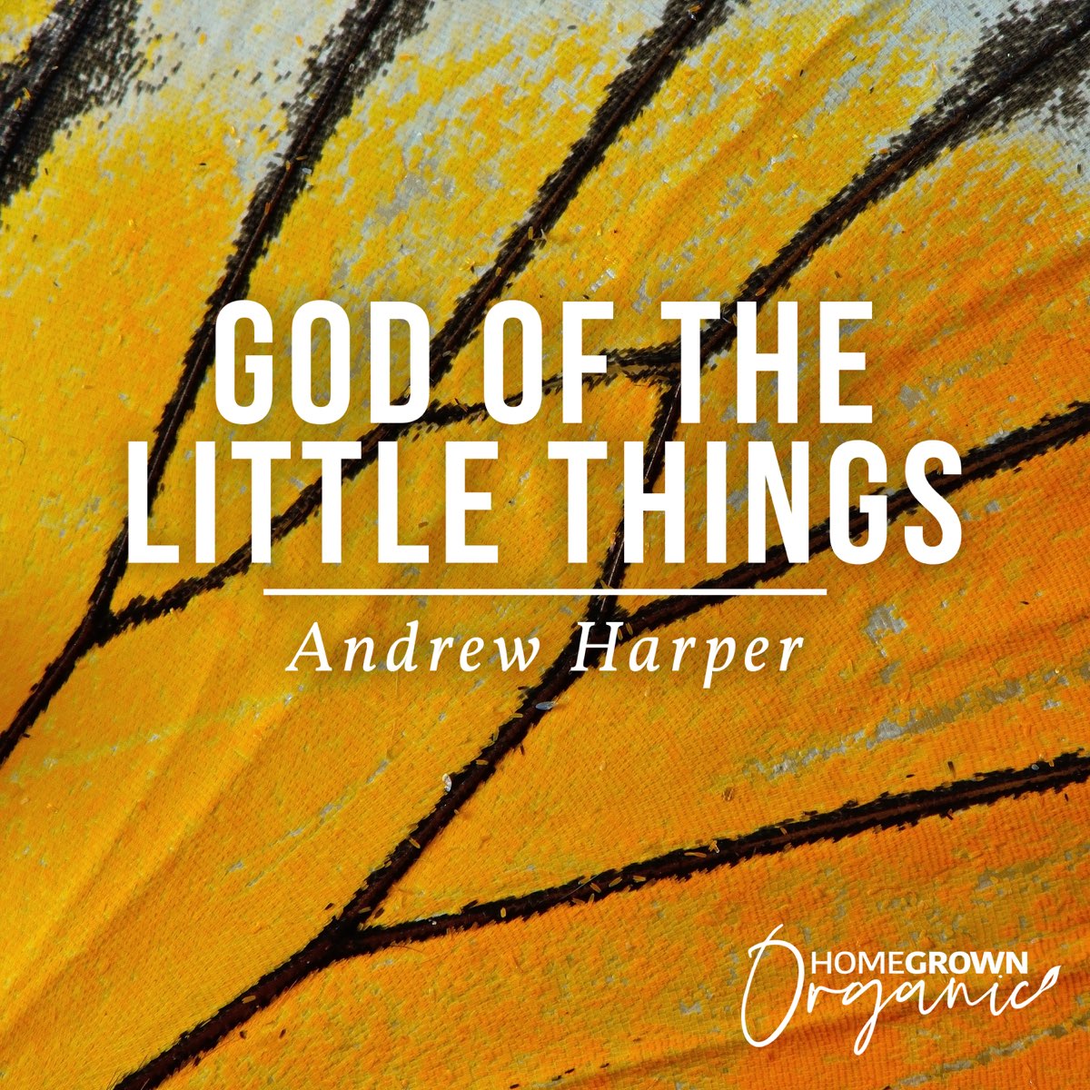 God Of The Little Things by Andrew Harper